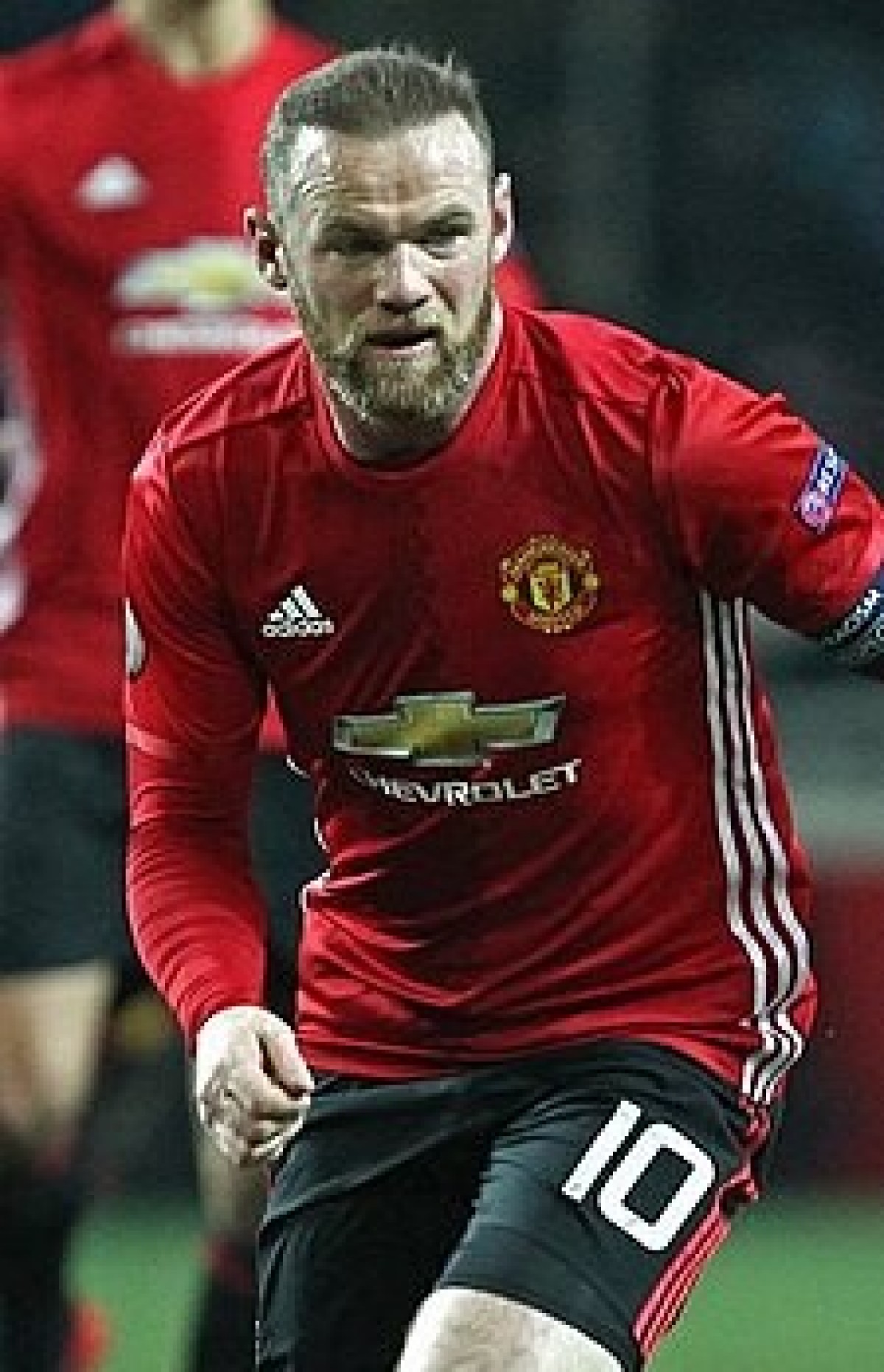 novo rooney