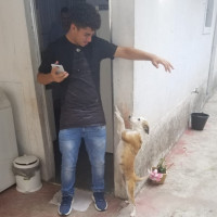 Guilherme