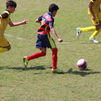 Pedrinho