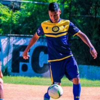 Pato Roco