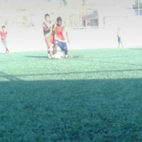 Brendo