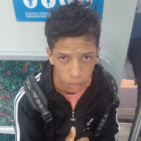 Greguinha