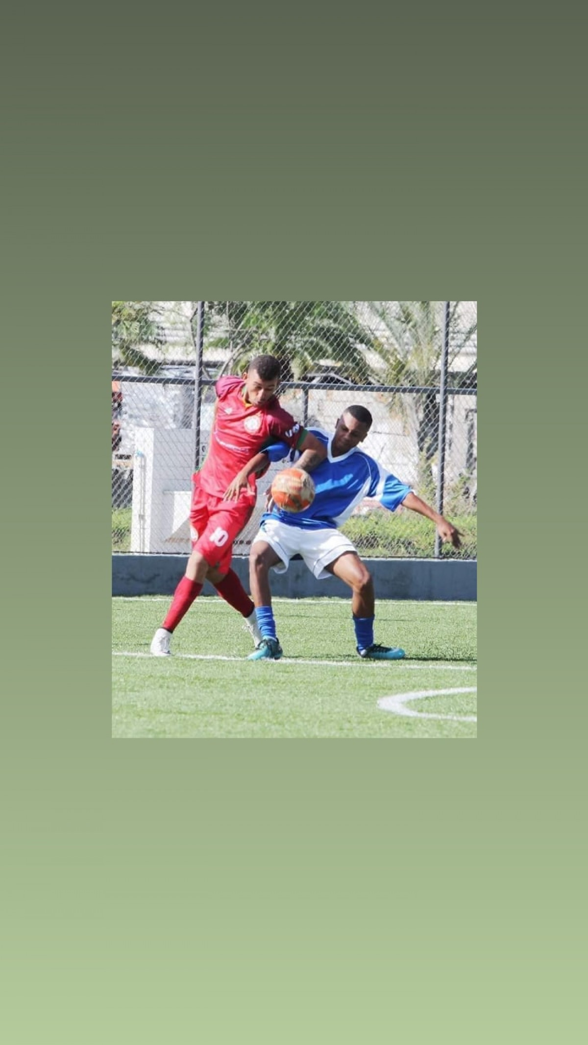 Pavon