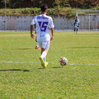 Vinicius
