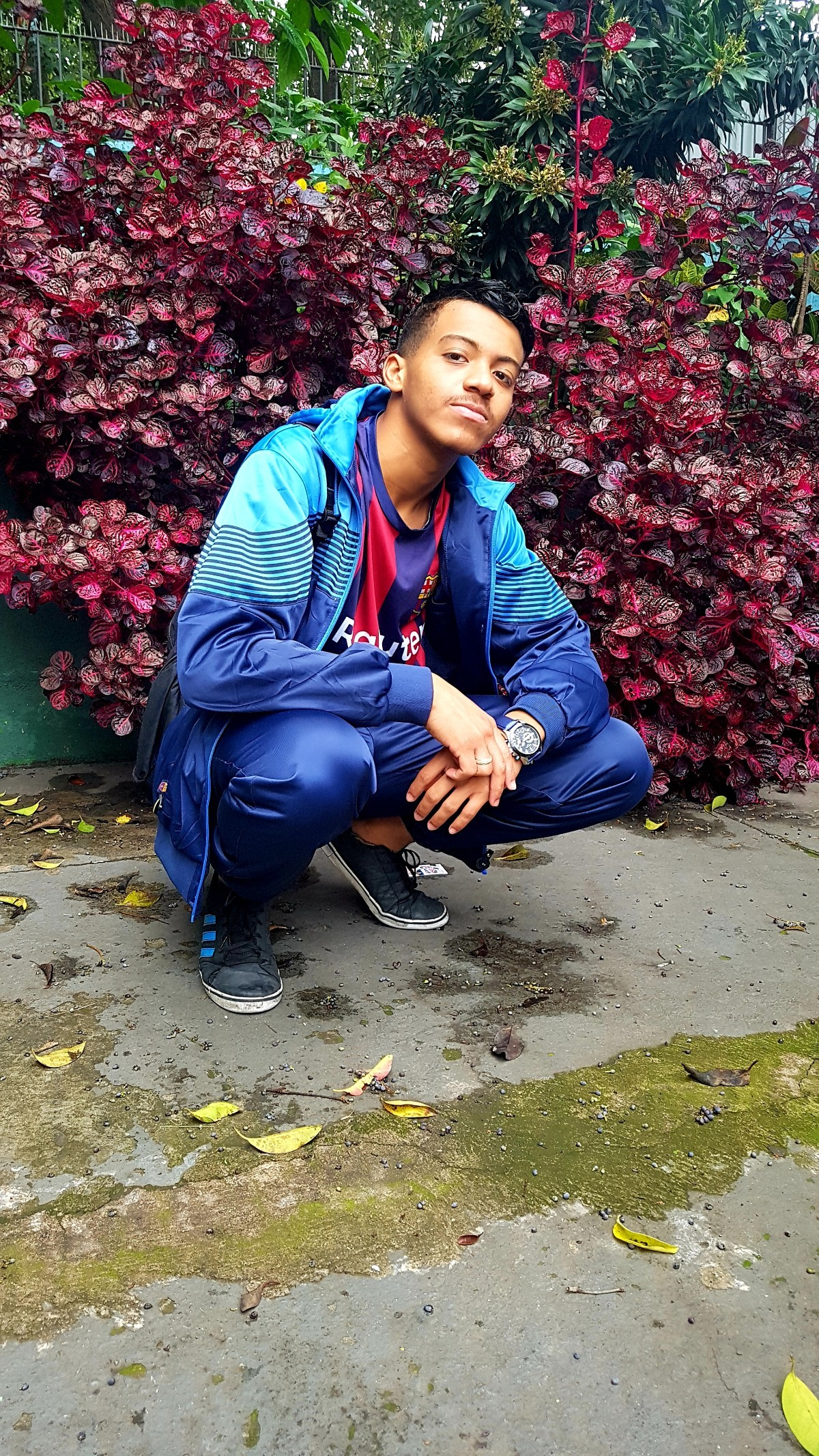 Profile Picture