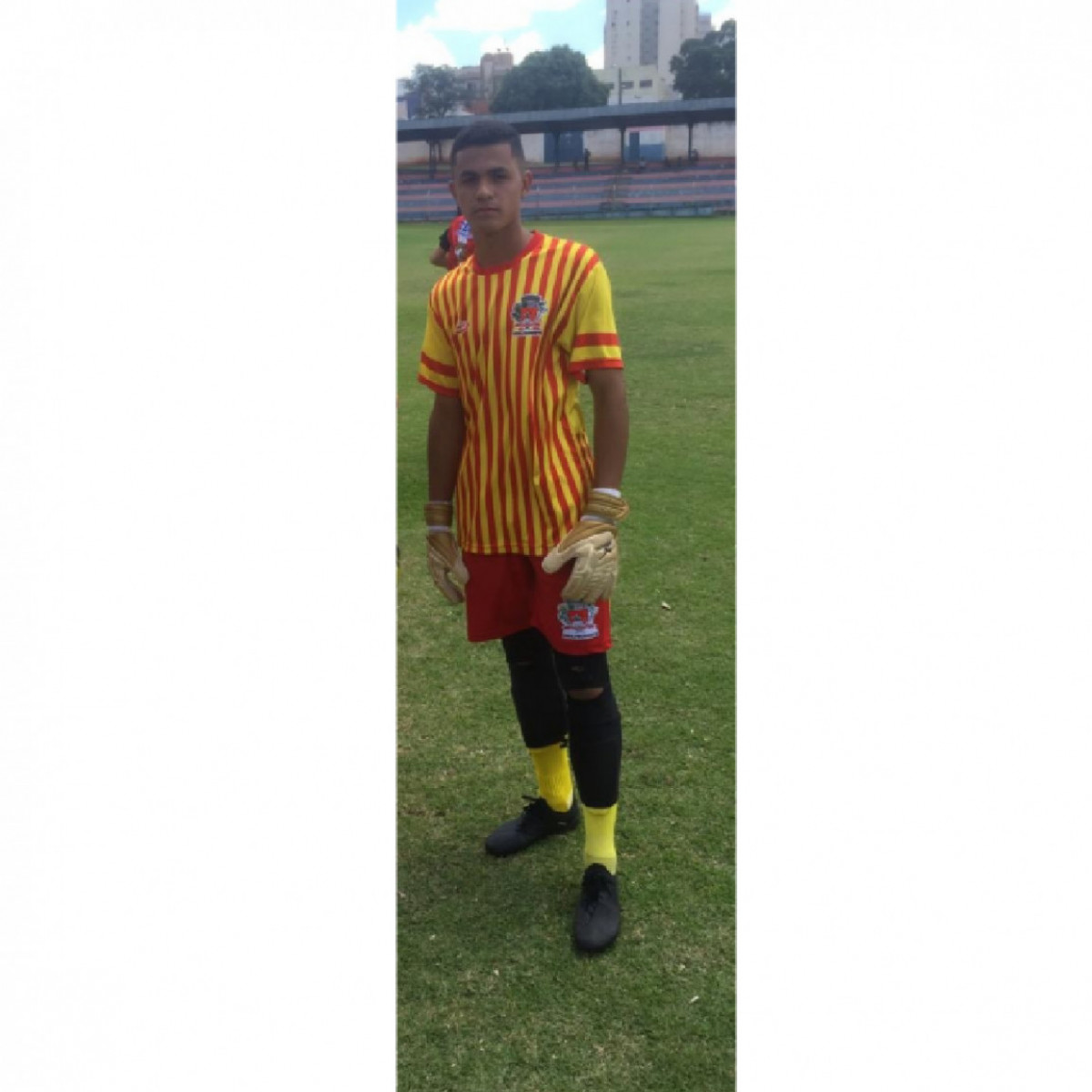 Profile Picture